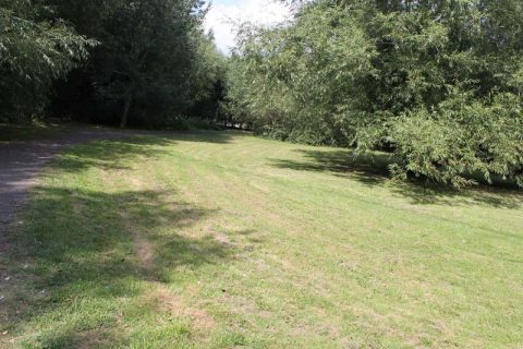 IMG 2205